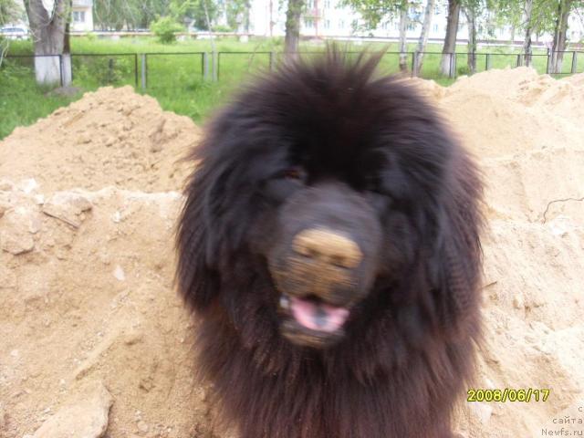 Фотография № 16359