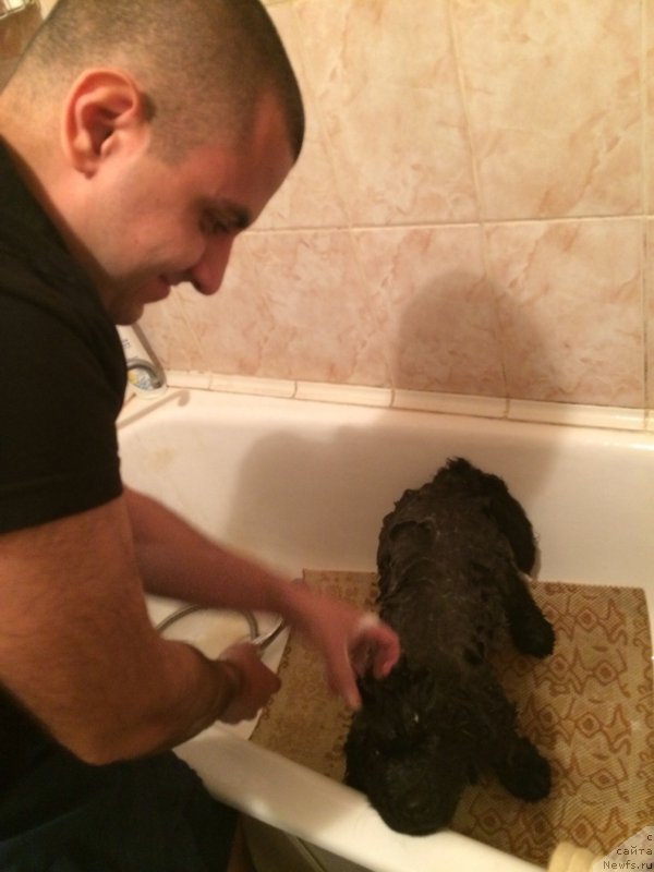 Фотография № 163600