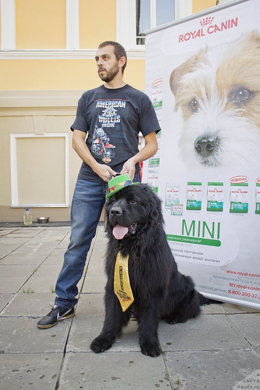 Фотография № 163605