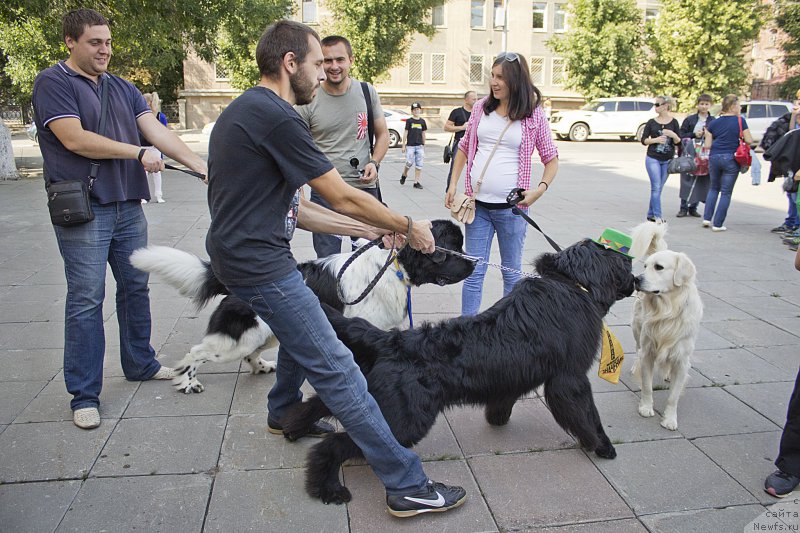 Фотография № 163609