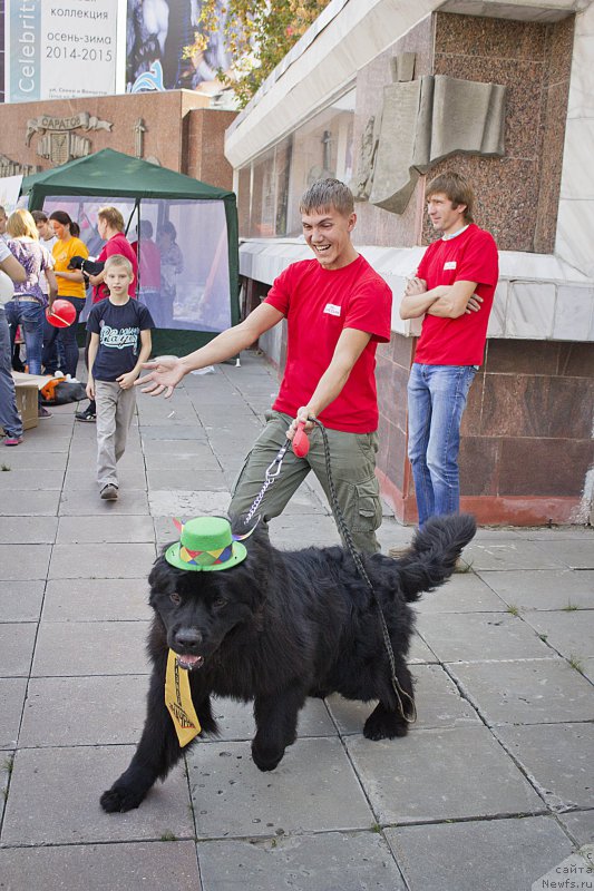 Фотография № 163610