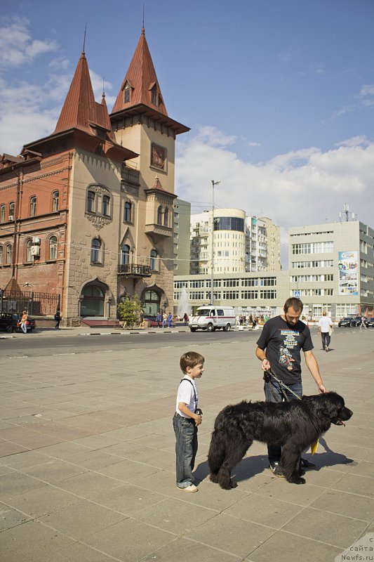 Фотография № 163614