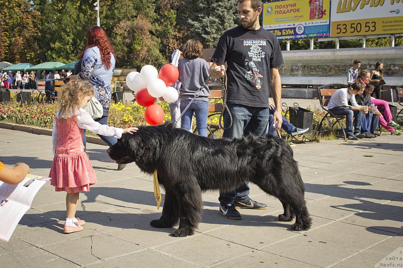 Фотография № 163615