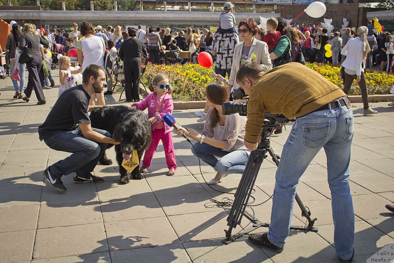 Фотография № 163618