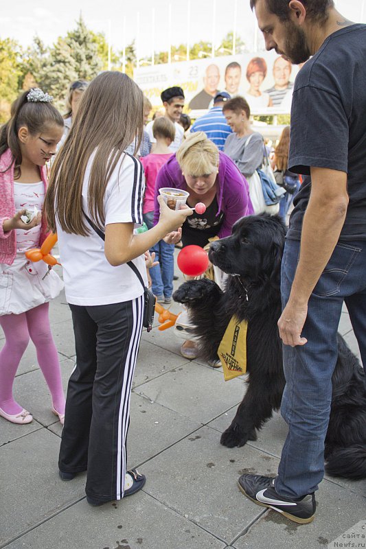 Фотография № 163622