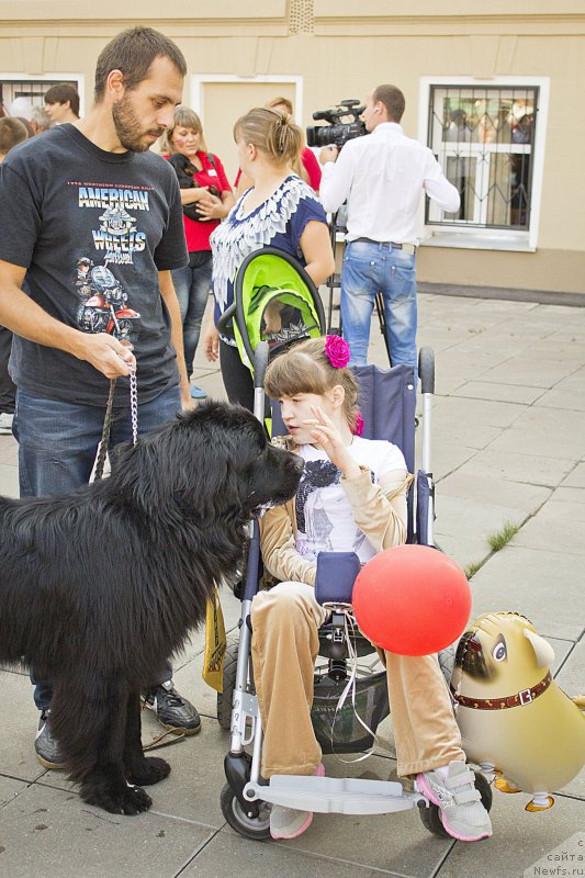 Фотография № 163625