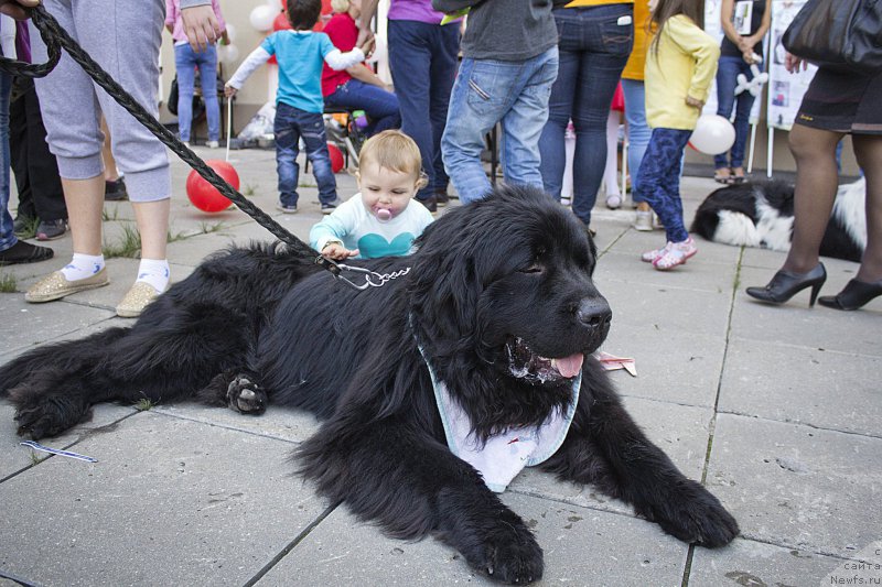 Фотография № 163629