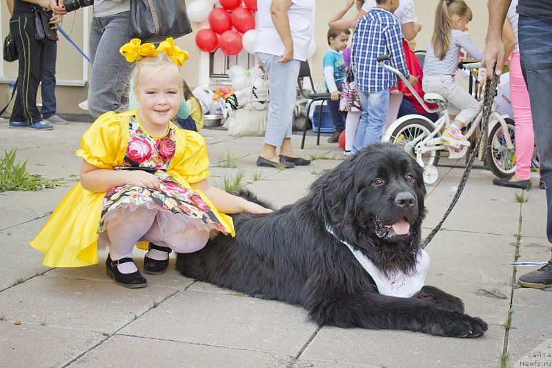 Фотография № 163632