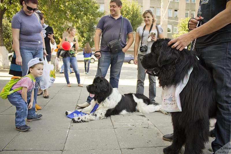 Фотография № 163633