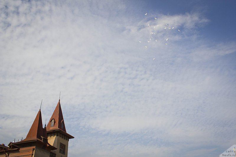 Фотография № 163636