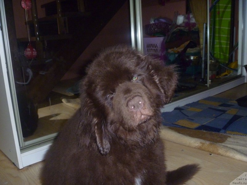 Фото: YUliya Ryichkova (Юлия Рычкова)