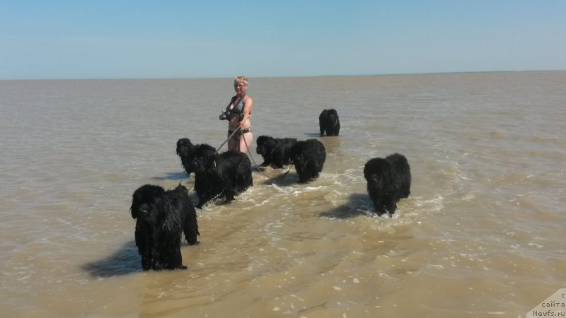 Фото: Elena Kuz'mina (Елена Кузьмина)