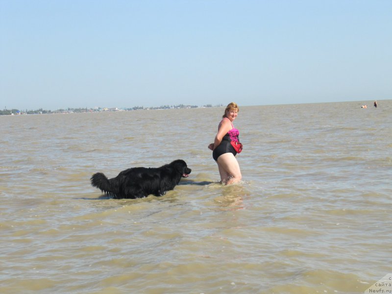 Фотография № 163665