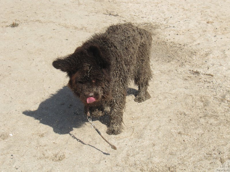 Фотография № 163667