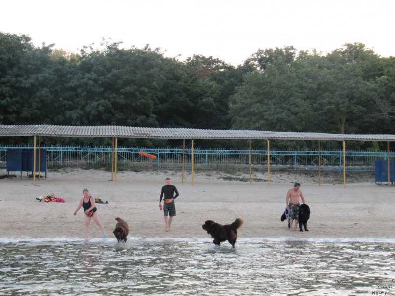 Фотография № 163672