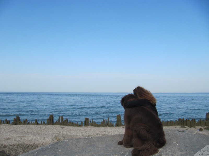 Фотография № 163678