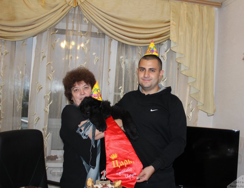 Фотография № 163686