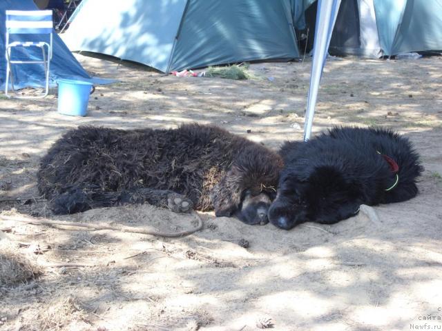 Фотография № 16372