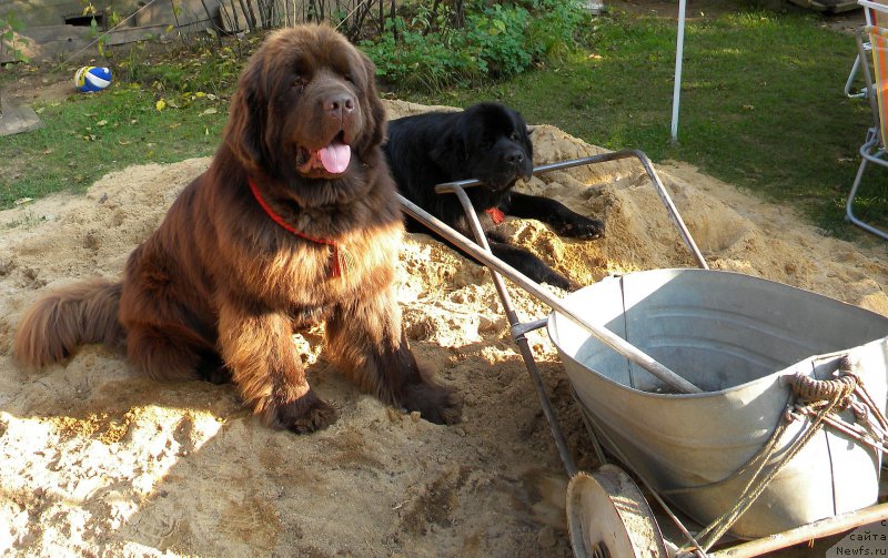 Фотография № 163725