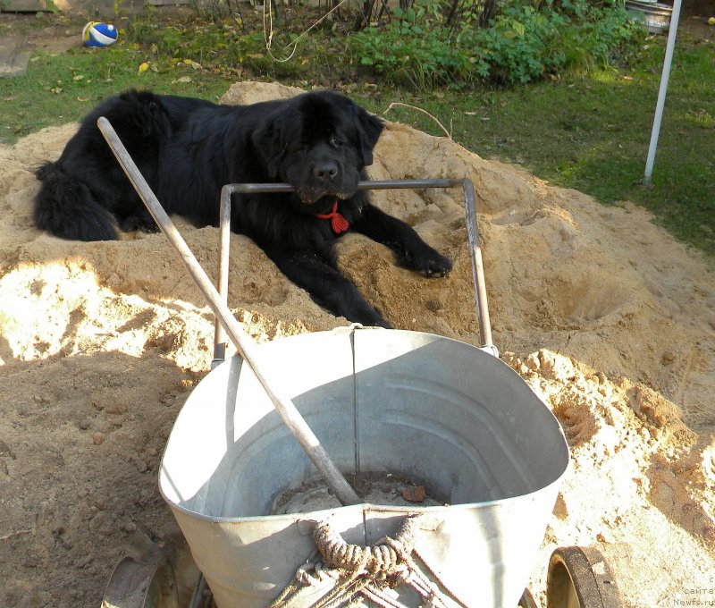 Фотография № 163726