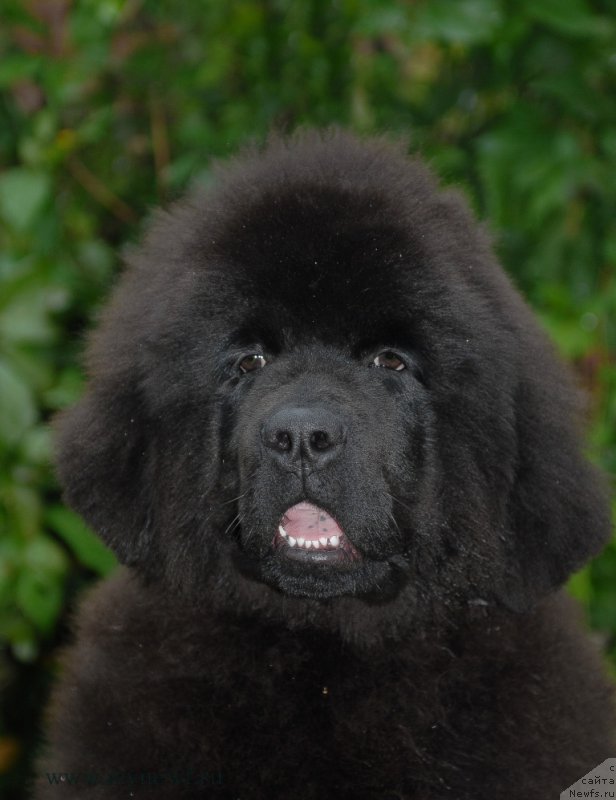 Фотография № 163744