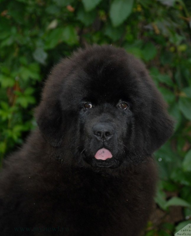 Фотография № 163745