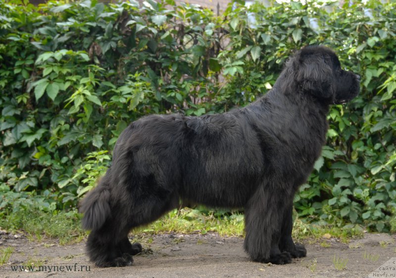 Фотография № 163746