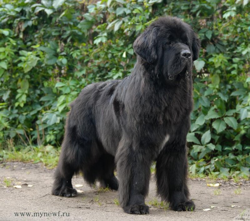 Фотография № 163749