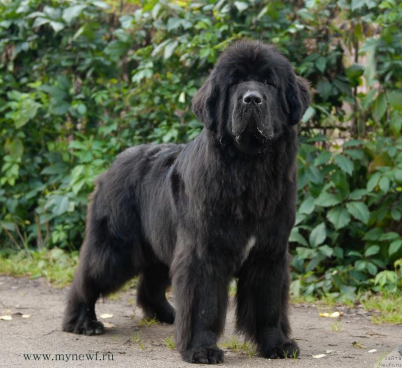 Фотография № 163750