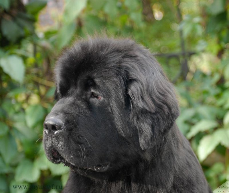 Фотография № 163752