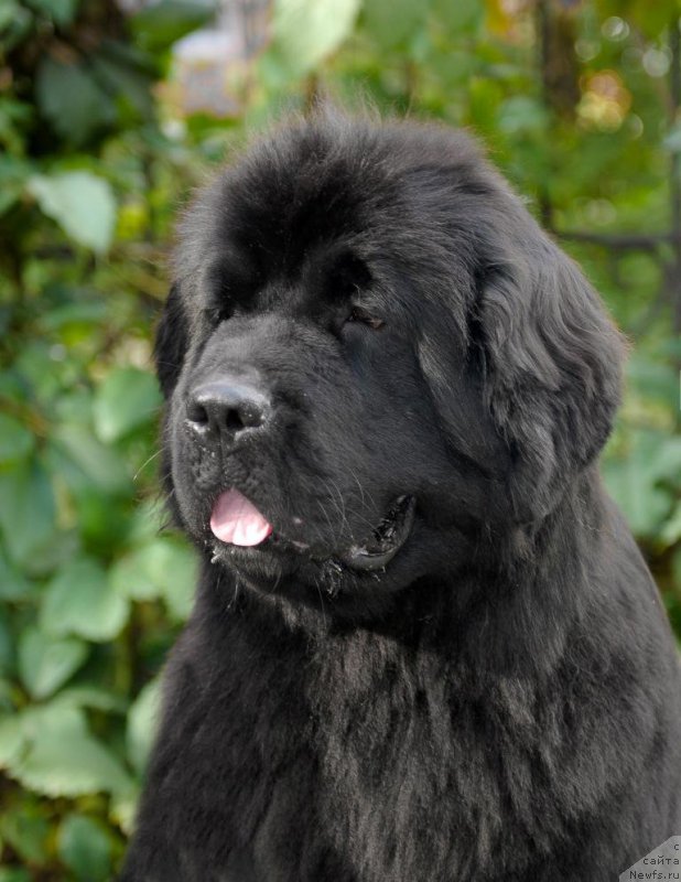 Фотография № 163753