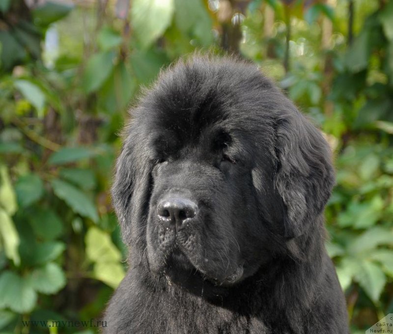 Фотография № 163755