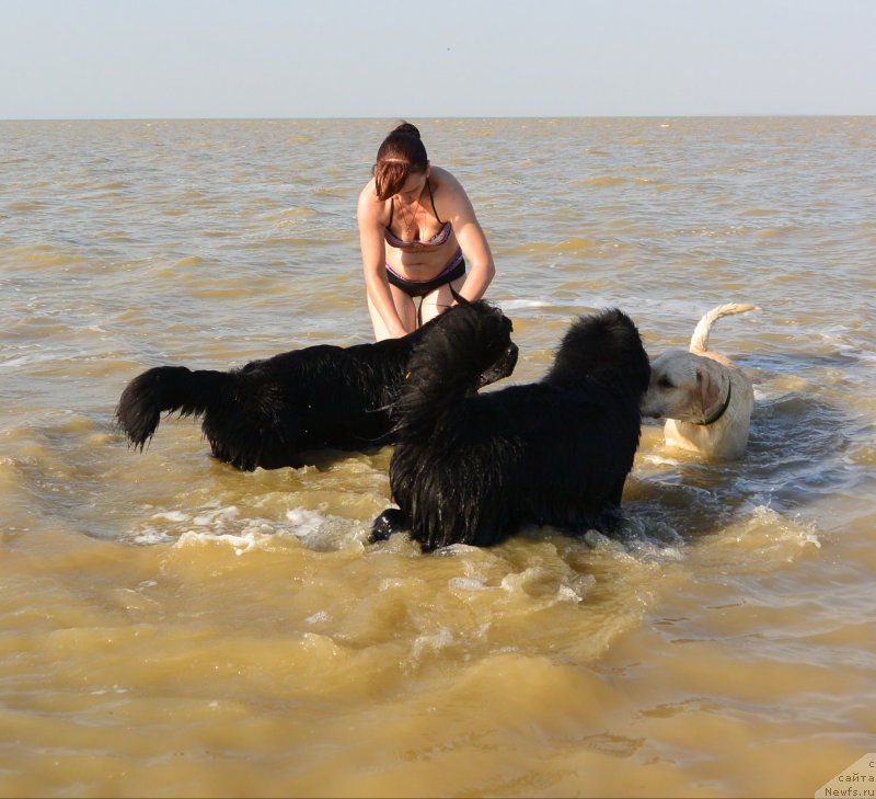 Фотография № 163758