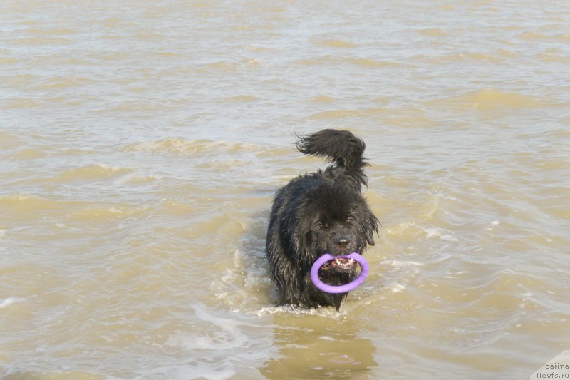 Фотография № 163759