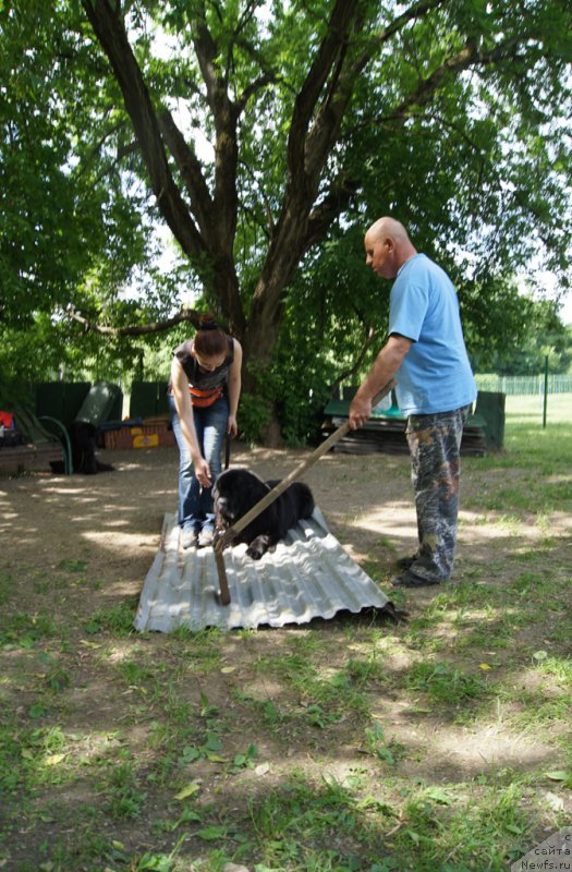 Фотография № 163761