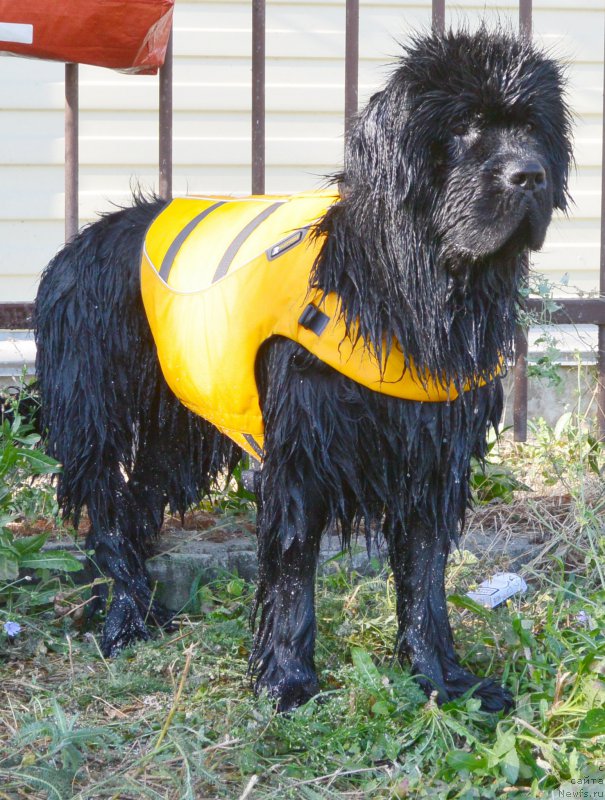 Фотография № 163768