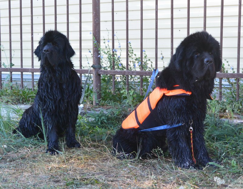 Фотография № 163770