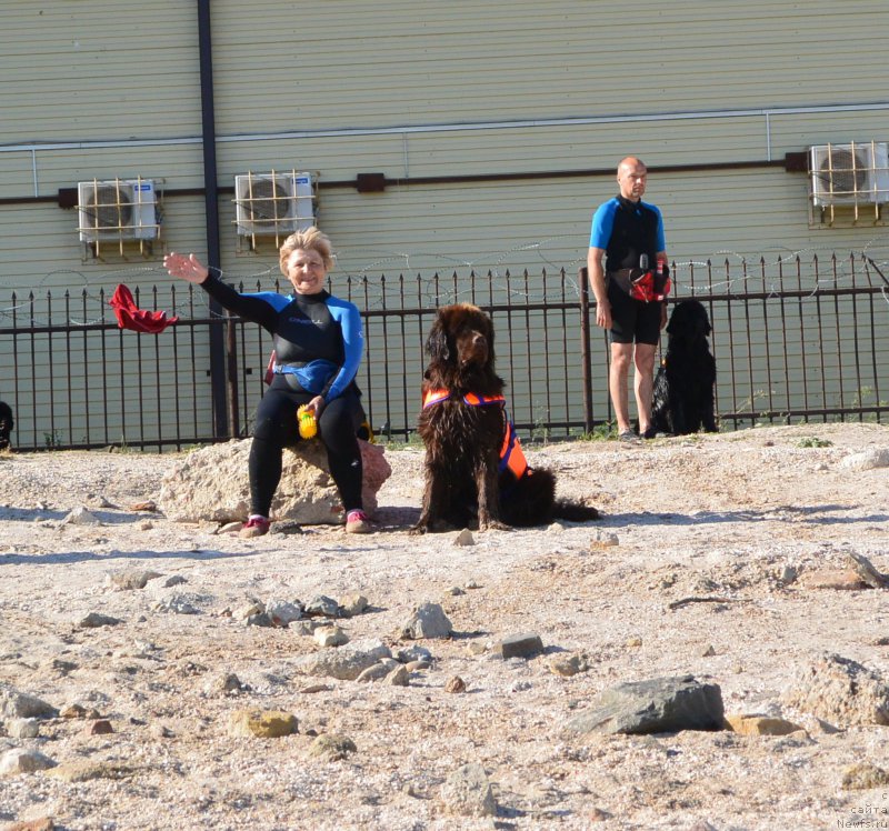 Фотография № 163777