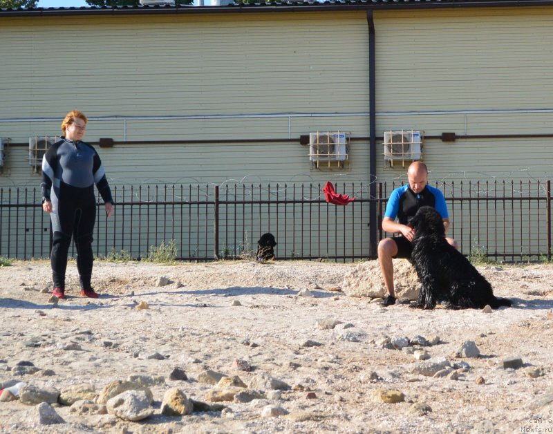 Фотография № 163778