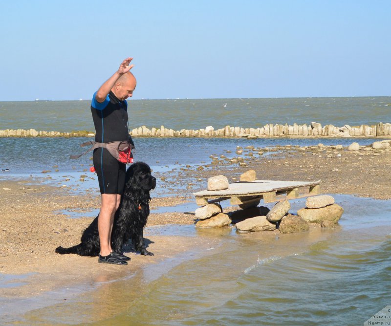 Фото: Anton YAkovlev (Антон Яковлев), ньюфаундленд Beguschaya po Volnam Hand Made (Бегущая по Волнам Ханд Маде)