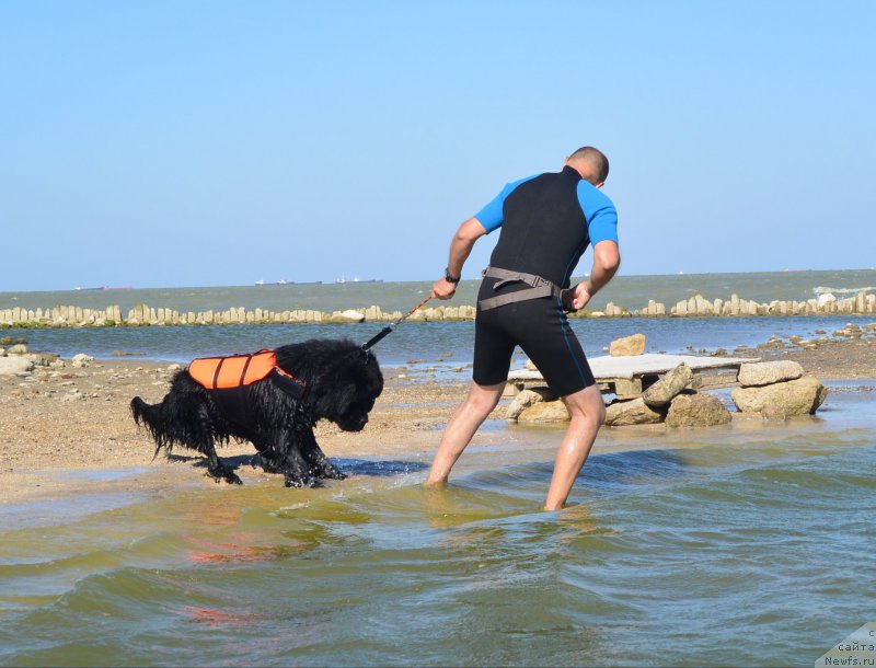 Фотография № 163788