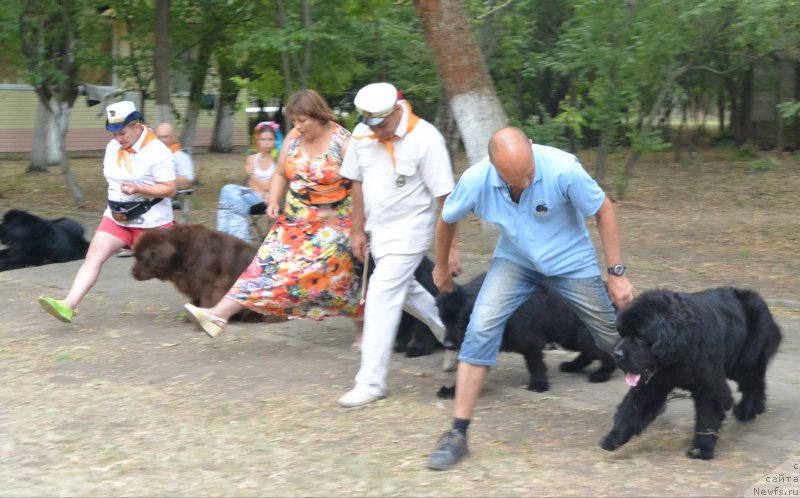 Фотография № 163803