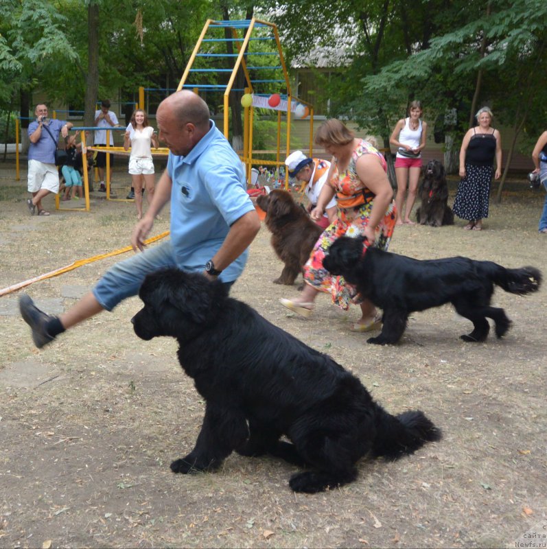 Фотография № 163804