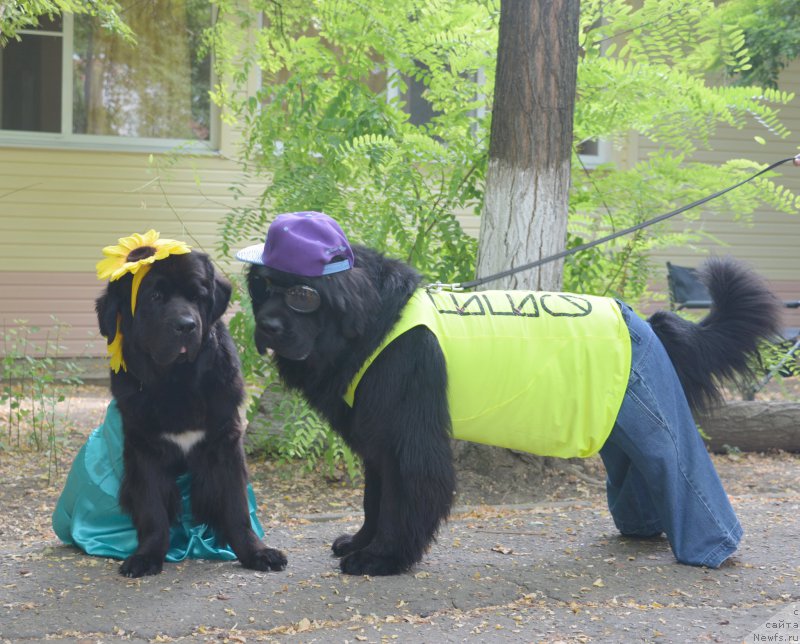 Фотография № 163810