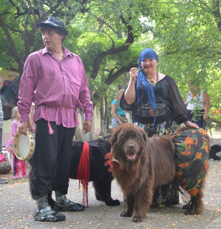 Фотография № 163812