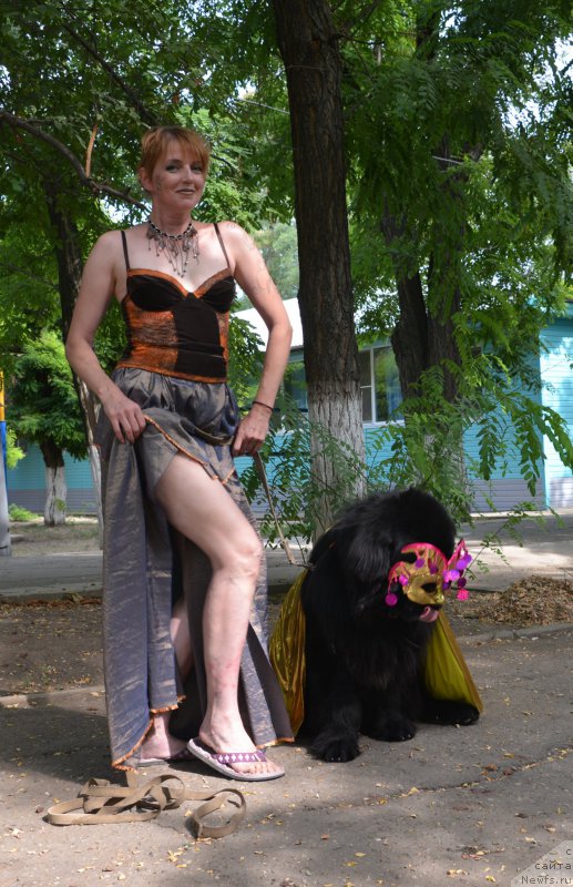 Фото: Elena Kirpa (Елена Кирпа), ньюфаундленд Charuyuschiy Chezario (Чарующий Чезарио)