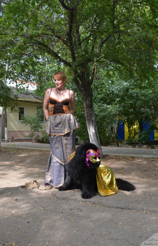 Фотография № 163815