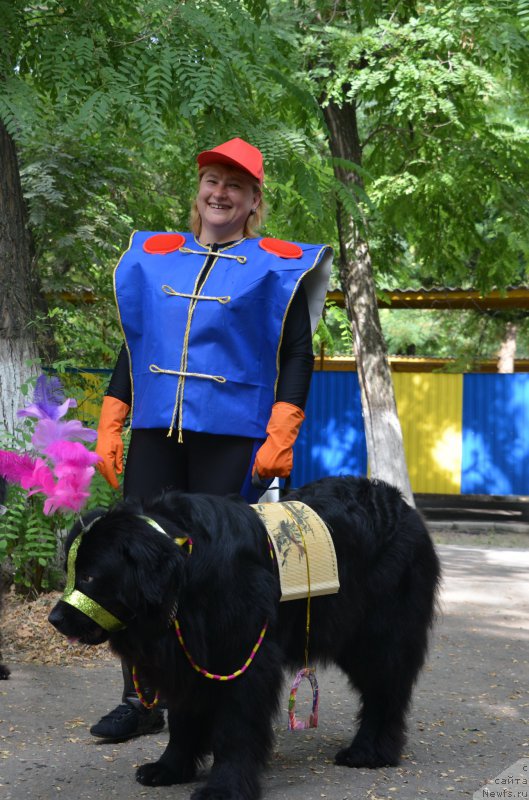 Фотография № 163817