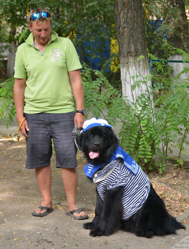 Фотография № 163818