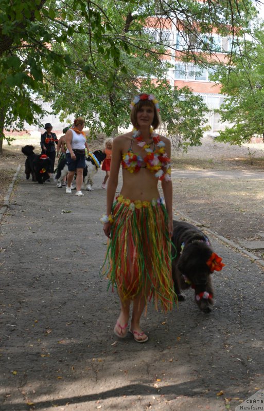 Фотография № 163821